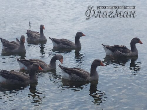 IMG_20240807_140559_1